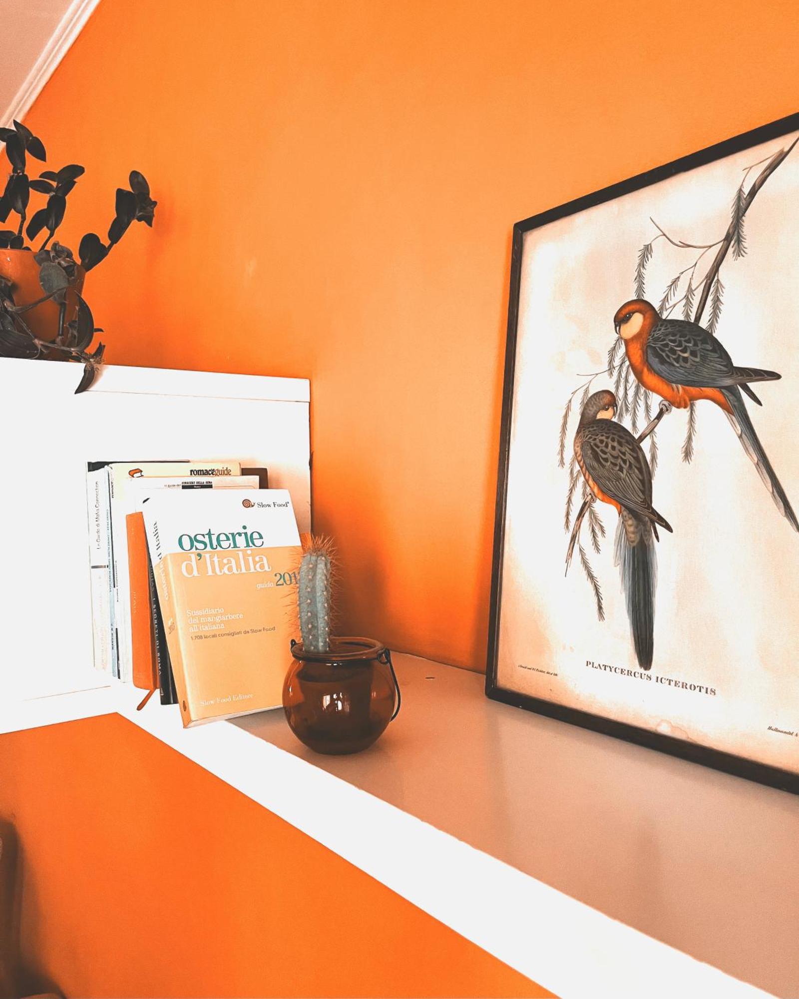 4321 B&B Stazione Trastevere 로마 외부 사진